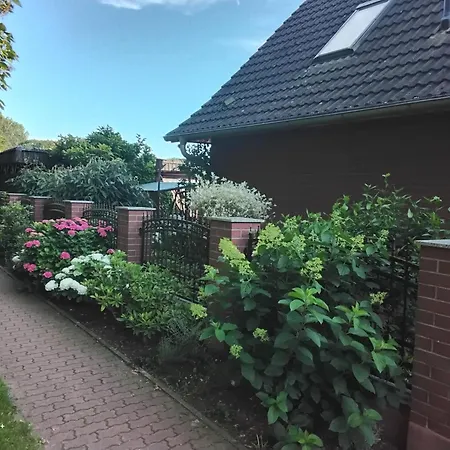 Schroeder