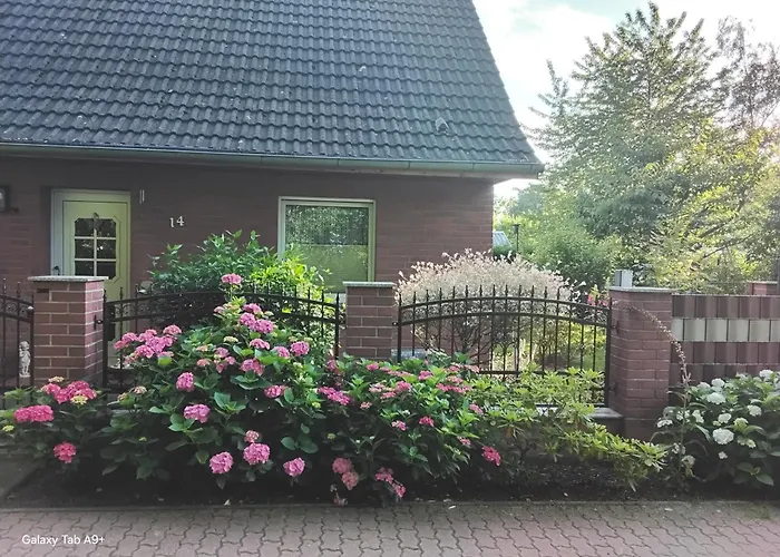 Schroeder بوتبوس